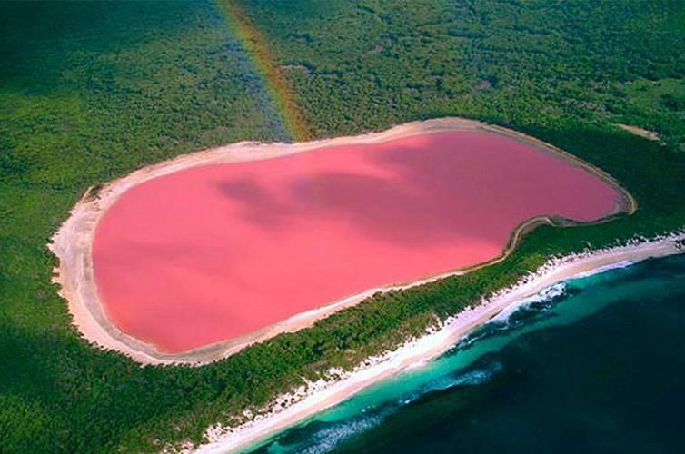 Pink Lake Hiller