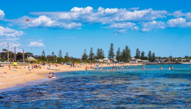 A sunny and busy day at Elwood Beach in Victoria, Australia.